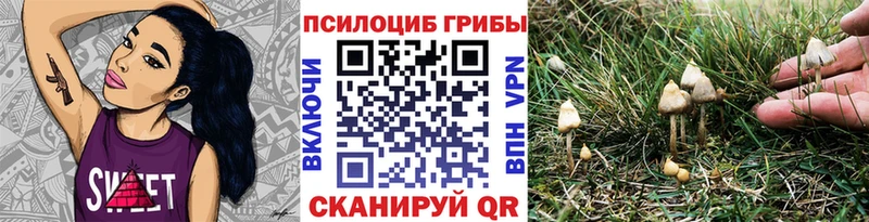 купить наркотики цена  Кострома  Галлюциногенные грибы мицелий 